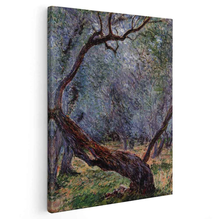Olive Trees (Study) (1884) by Claude Monet