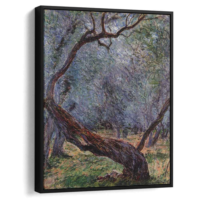 Olive Trees (Study) (1884) by Claude Monet