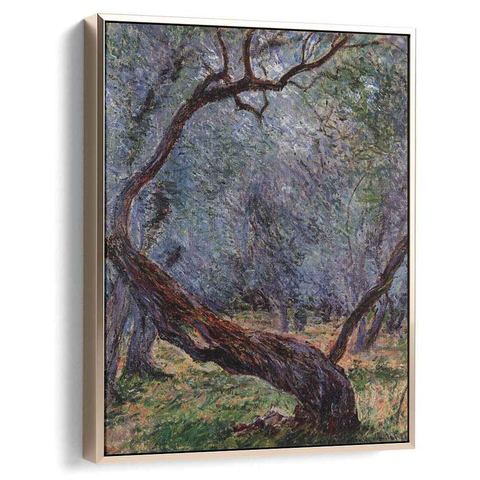 Olive Trees (Study) (1884) by Claude Monet