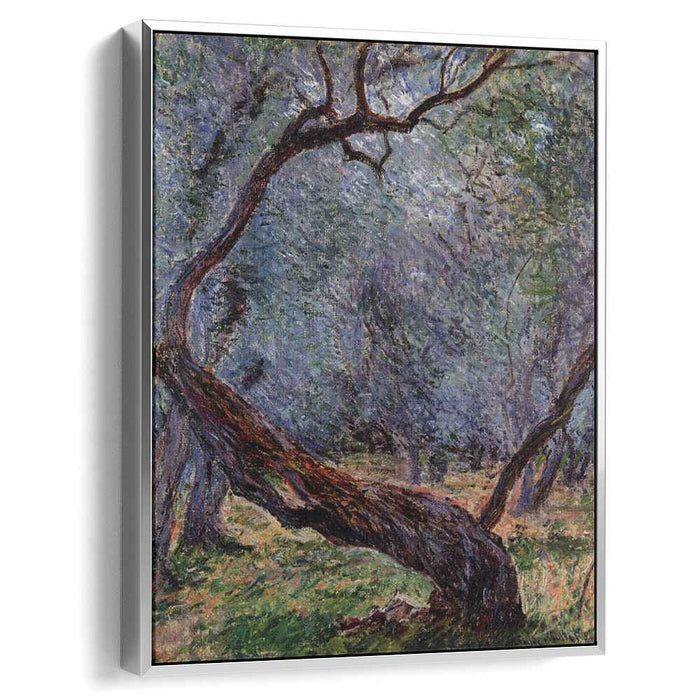 Olive Trees (Study) (1884) by Claude Monet