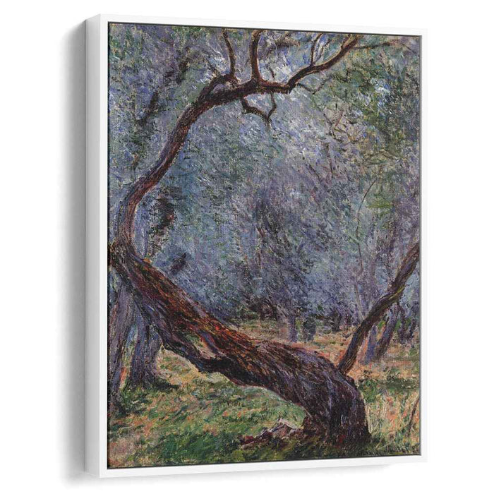 Olive Trees (Study) (1884) by Claude Monet