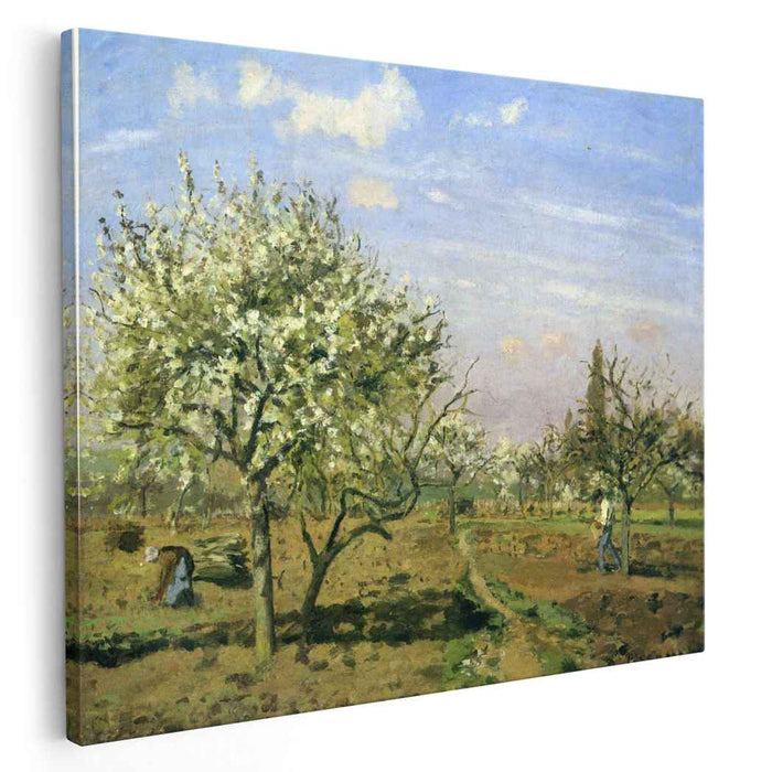 Orchard in Blossom, Louveciennes by Camille Pissarro