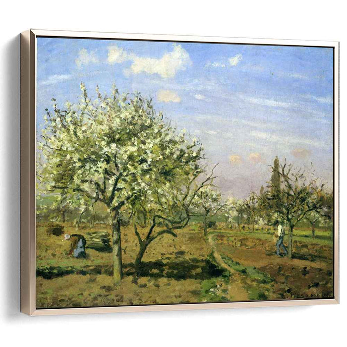 Orchard in Blossom, Louveciennes by Camille Pissarro