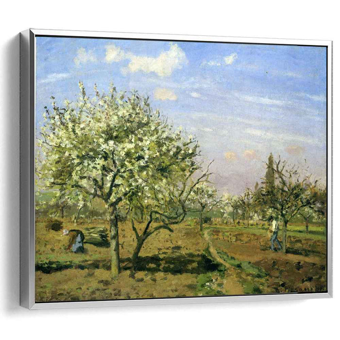 Orchard in Blossom, Louveciennes by Camille Pissarro