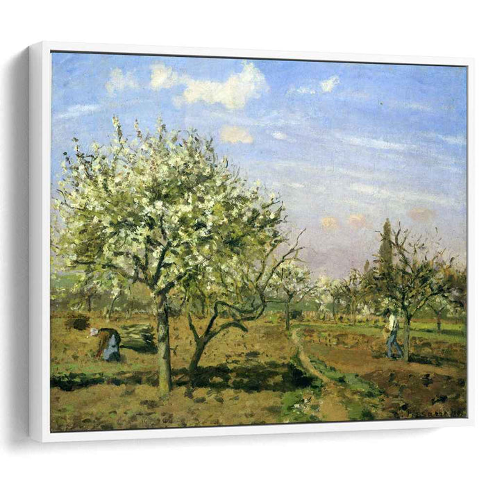 Orchard in Blossom, Louveciennes by Camille Pissarro