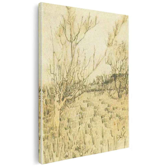 Orchard with Arles in the Background (1888) by Vincent van Gogh