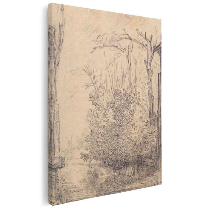 Overhanging bushes in a ditch (1640) by Rembrandt