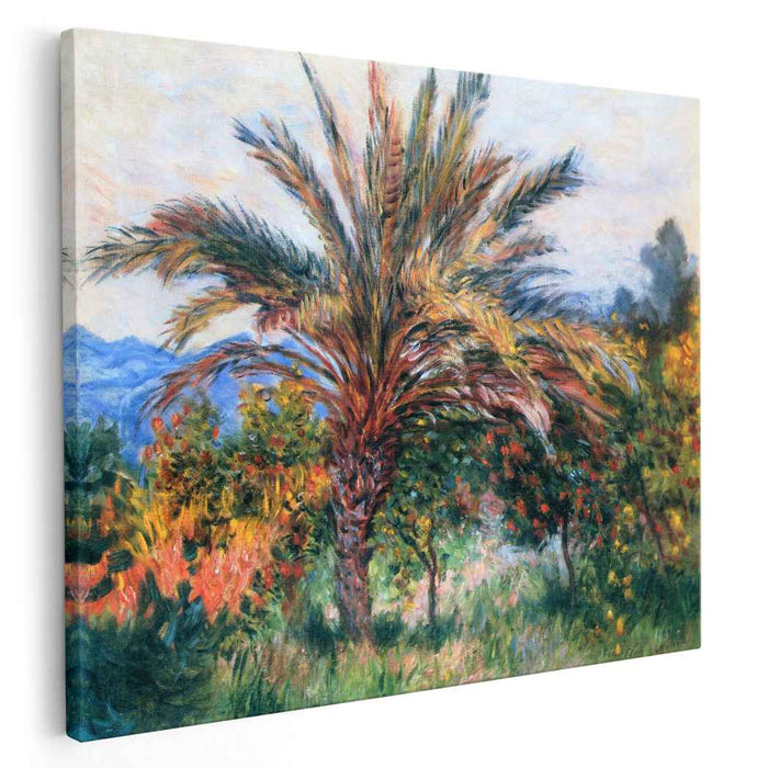 Palm Tree at Bordighera (1884) by Claude Monet