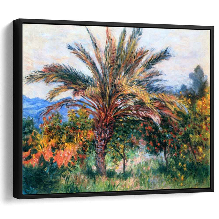 Palm Tree at Bordighera (1884) by Claude Monet