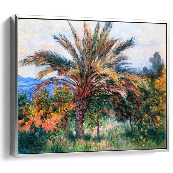 Palm Tree at Bordighera (1884) by Claude Monet