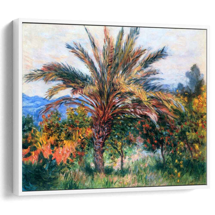 Palm Tree at Bordighera (1884) by Claude Monet