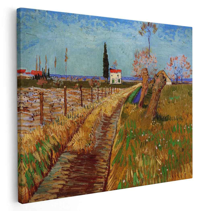Path Through a Field with Willows (1888) by Vincent van Gogh
