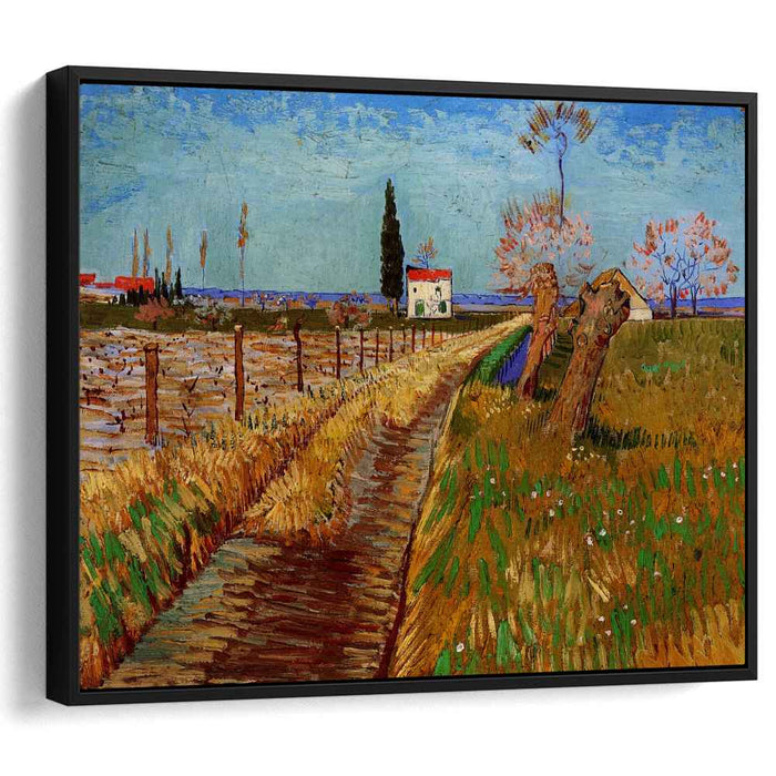 Path Through a Field with Willows (1888) by Vincent van Gogh