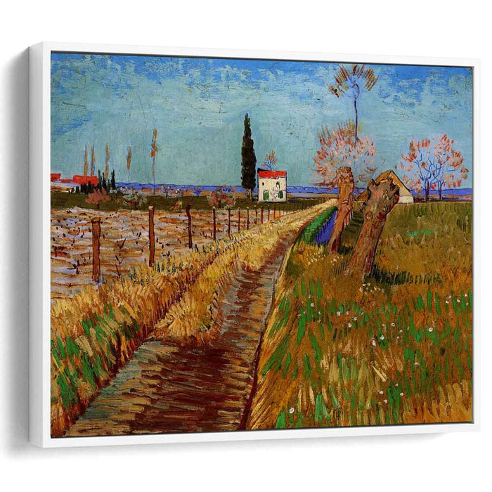 Path Through a Field with Willows (1888) by Vincent van Gogh