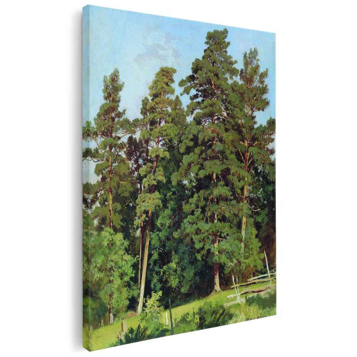 Pine forest by Ivan Shishkin