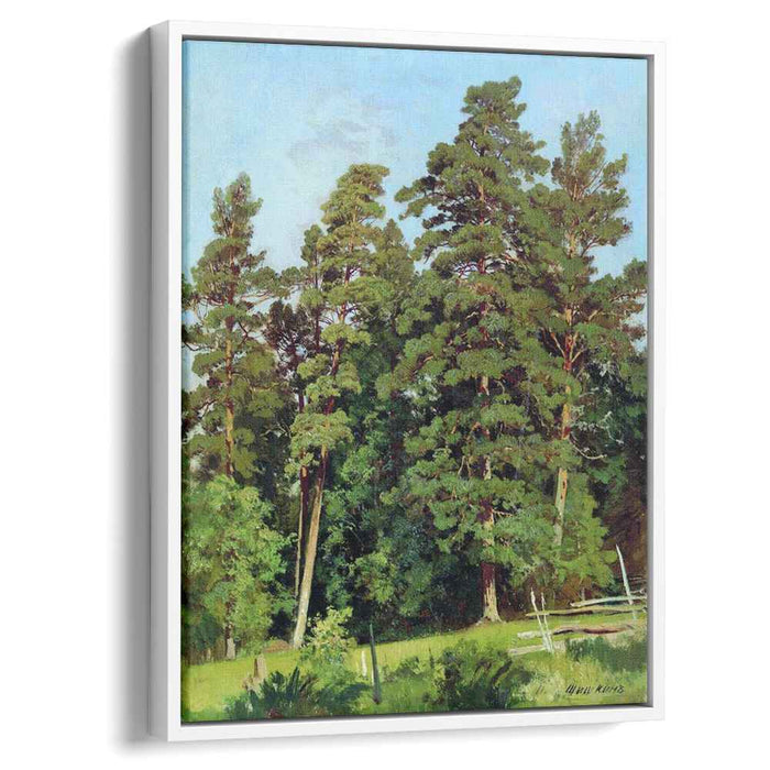 Pine forest by Ivan Shishkin