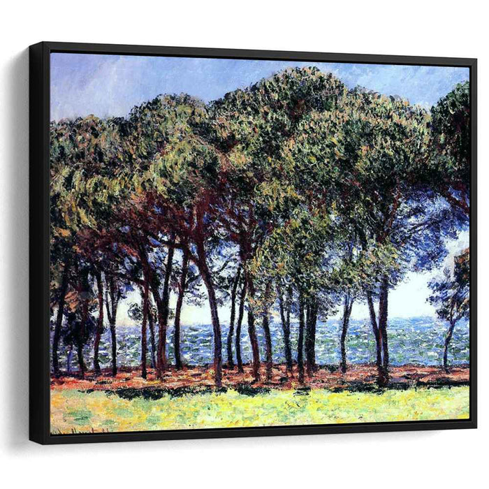 Pine Trees, Cap d'Antibes by Claude Monet
