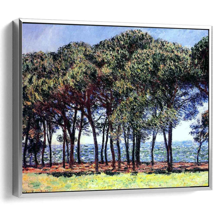 Pine Trees, Cap d'Antibes by Claude Monet