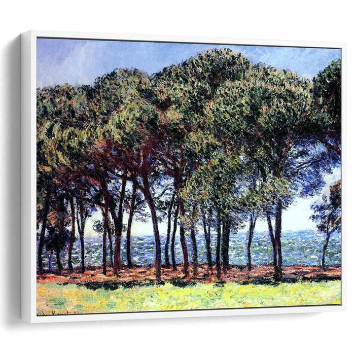 Pine Trees, Cap d'Antibes by Claude Monet
