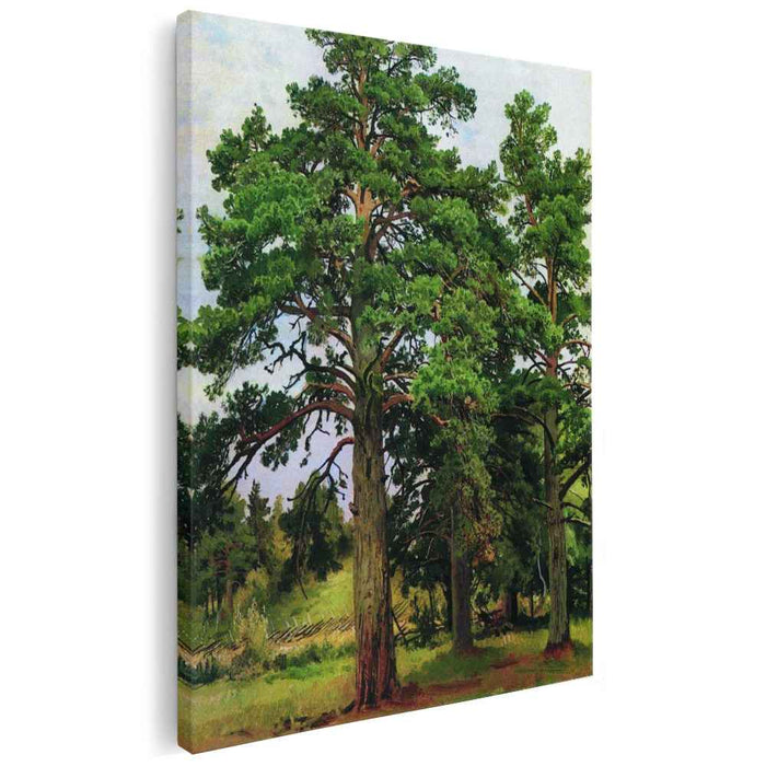 Pine without the sun. Mary-Howe (1890) by Ivan Shishkin