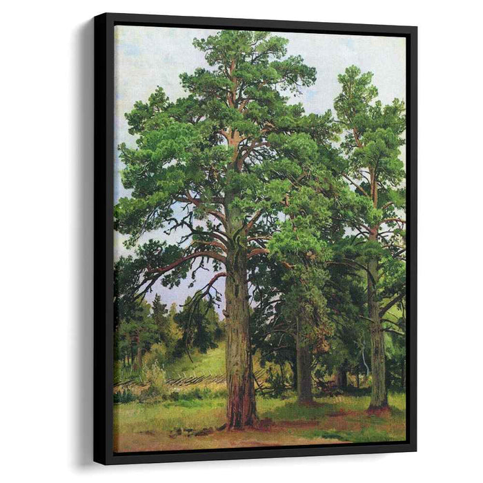 Pine without the sun. Mary-Howe (1890) by Ivan Shishkin