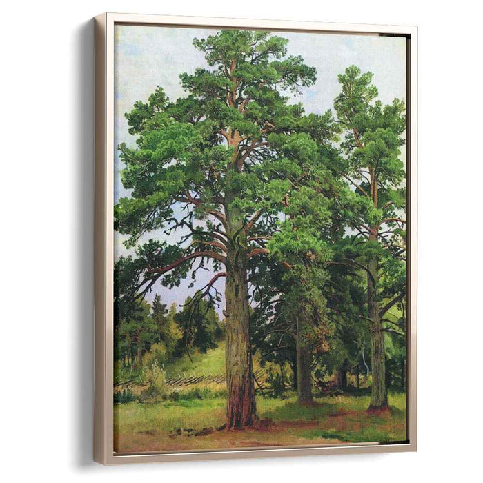 Pine without the sun. Mary-Howe (1890) by Ivan Shishkin