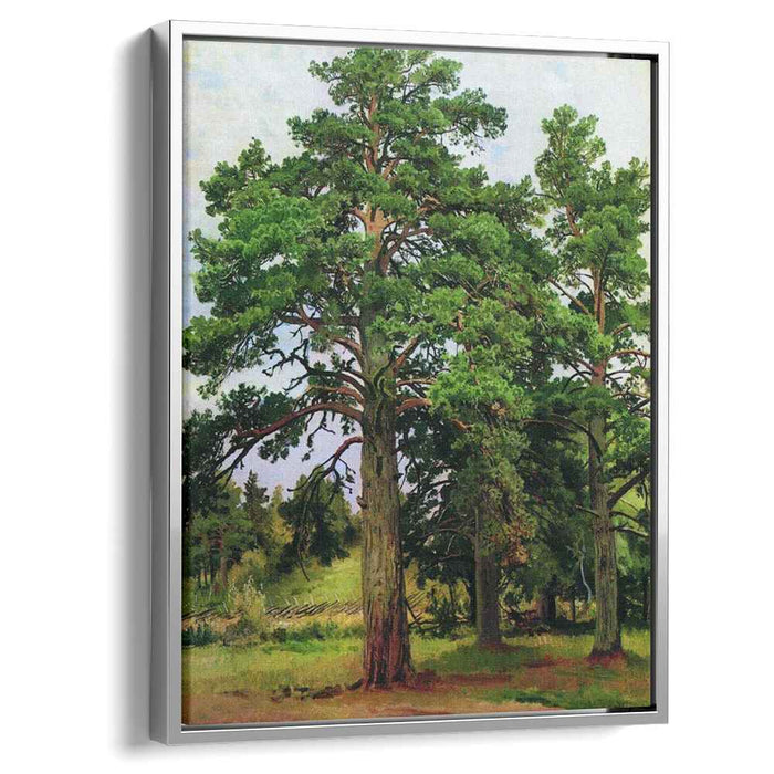 Pine without the sun. Mary-Howe (1890) by Ivan Shishkin