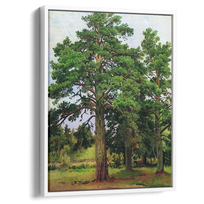 Pine without the sun. Mary-Howe (1890) by Ivan Shishkin