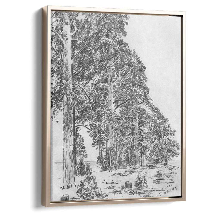 Pines on the beach (1877) by Ivan Shishkin