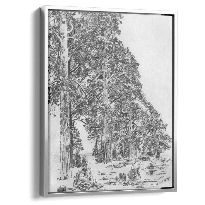 Pines on the beach (1877) by Ivan Shishkin