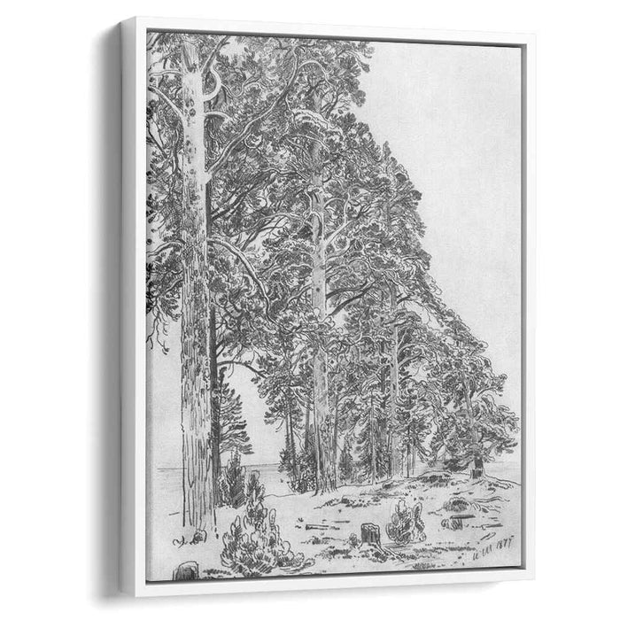 Pines on the beach (1877) by Ivan Shishkin