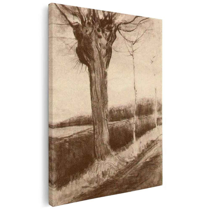 Pollard Willow (1881) by Vincent van Gogh