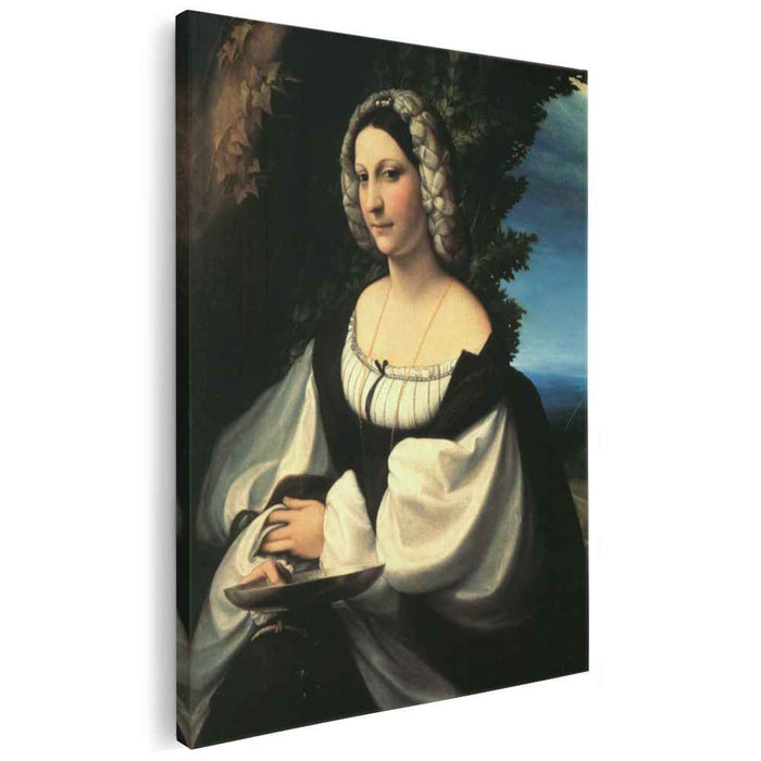 Portrait of a Gentlewoman (1519) by Correggio