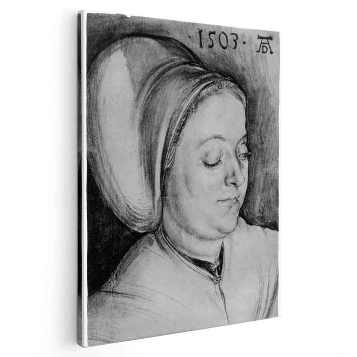 Portrait of a Woman (Creszentia Pirckheimer) (1503) by Albrecht Durer