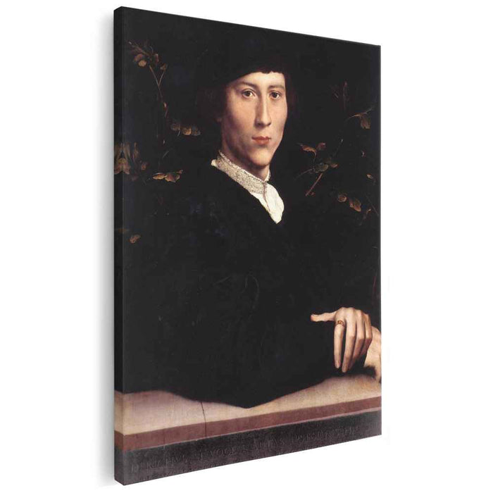 Portrait of Derich Born (1533) by Hans Holbein the Younger