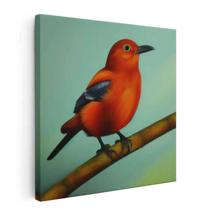 Citrus Wings Resting Grace: Vibrant Orange Bird on Serene Branch Canvas Art