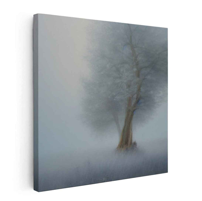 Misty Woods Reverie: Impressionist Foggy Tree Landscape Canvas Art Print