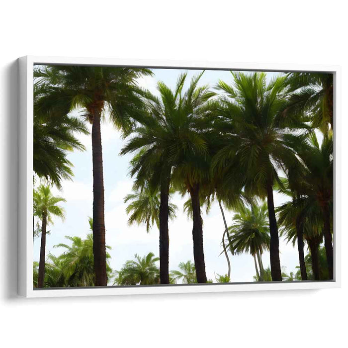 Palm Trees #135