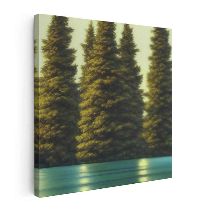 Pine Trees #001