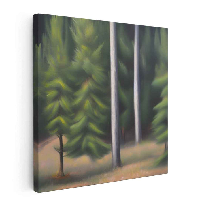 Pine Trees #008