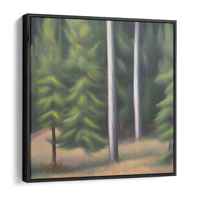 Pine Trees #008