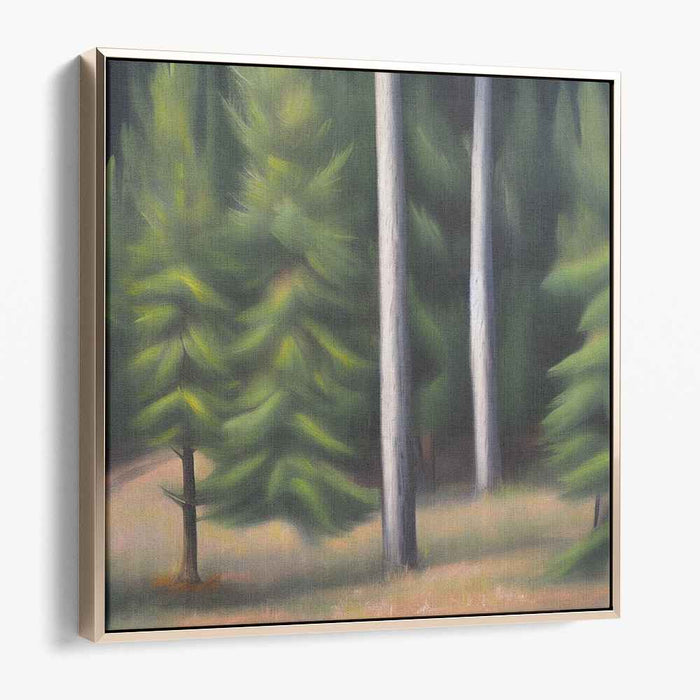 Pine Trees #008