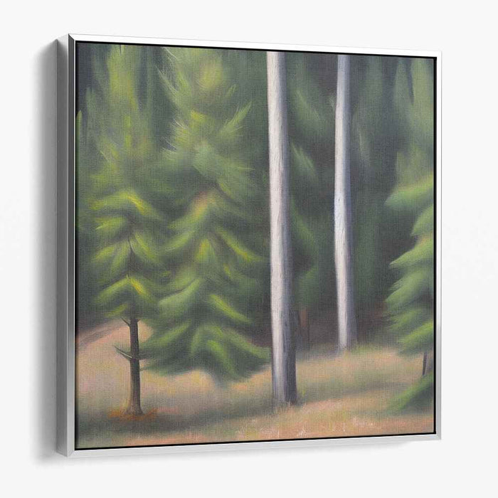 Pine Trees #008