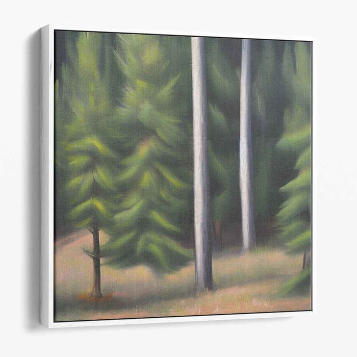 Pine Trees #008