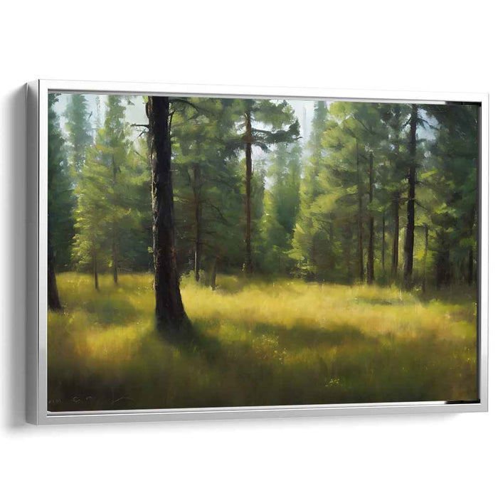 Forest Radiance: Sunlit Pine Grove Canvas Art Print