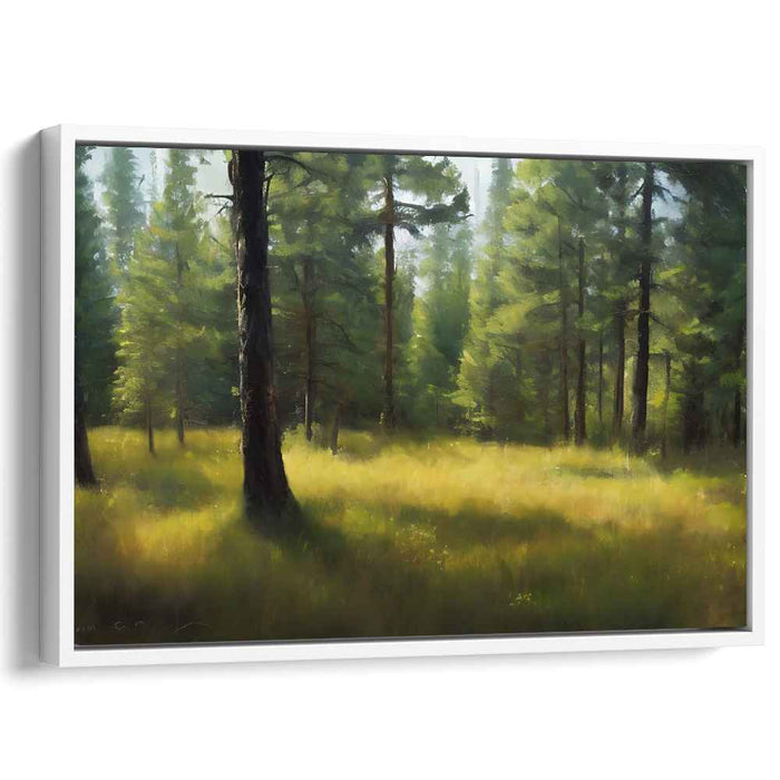 Forest Radiance: Sunlit Pine Grove Canvas Art Print