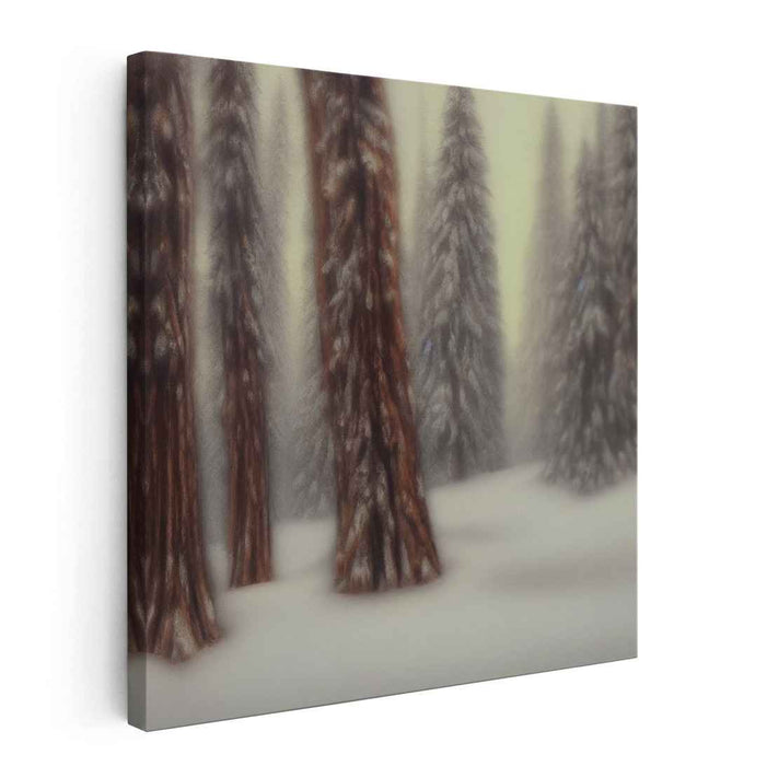 Snowy Forest #007