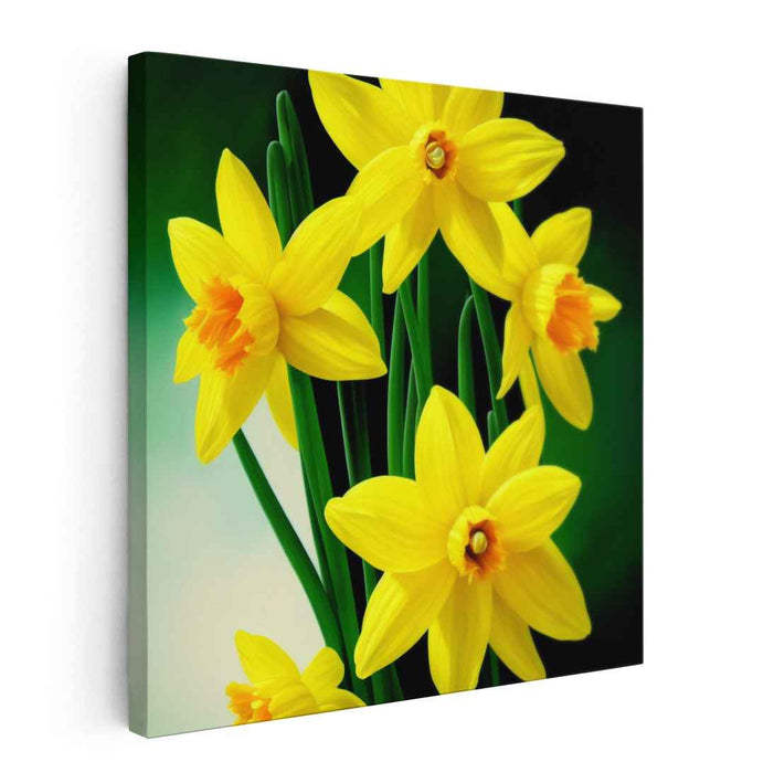 Realistic Oil Daffodils #002