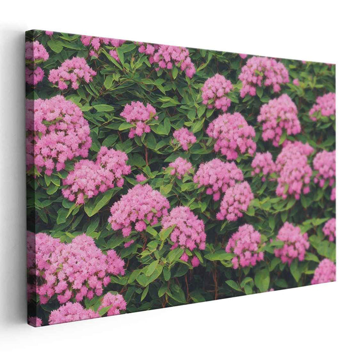Blissful Rhododendron Reverie: Lush Pink Rhododendron Blossoms Canvas Art Print