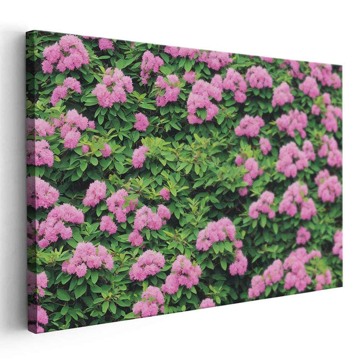 Blush Petals Dance in Green: Pink Rhododendrons in Verdant Harmony Canvas Art Print